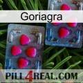 Goriagra 14